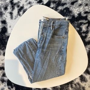 Agolde Skinny Jean